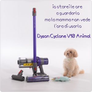 Dyson Cyclone V10 Animal